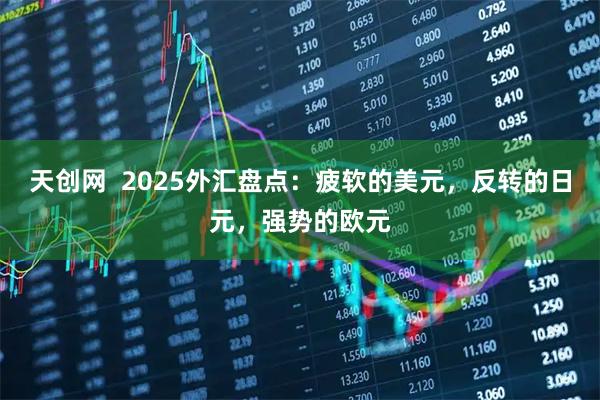 天创网  2025外汇盘点：疲软的美元，反转的日元，强势的欧元